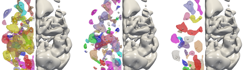 Cortical Asymmetries: Canalized Phonological Development